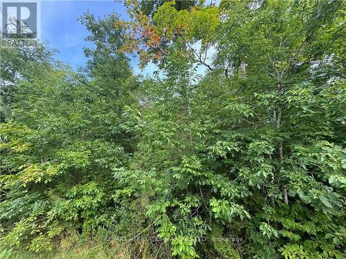 Lot Beaverbrook Road, South Glengarry, ON 