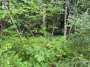 Lot Beaverbrook Road, Martintown, ON 