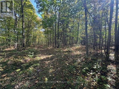 Lot Beaverbrook Road, South Glengarry, ON 