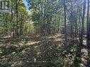 Lot Beaverbrook Road, South Glengarry, ON 