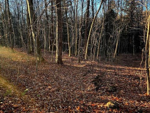 Land/Lot - Rue De L'Épervier, Gore, QC 