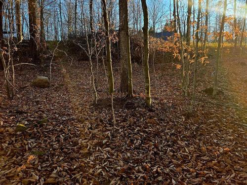 Land/Lot - Rue De L'Épervier, Gore, QC 