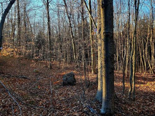 Land/Lot - Rue De L'Épervier, Gore, QC 