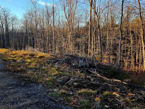 Land/Lot - Rue De L'Épervier, Gore, QC 