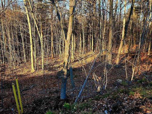 Land/Lot - Rue De L'Épervier, Gore, QC 