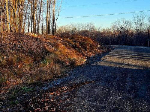 Land/Lot - Rue De L'Épervier, Gore, QC 