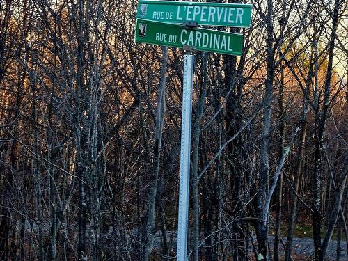 Land/Lot - Rue De L'Épervier, Gore, QC 