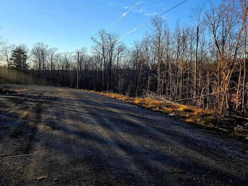 Land/Lot - Rue De L'Épervier, Gore, QC 