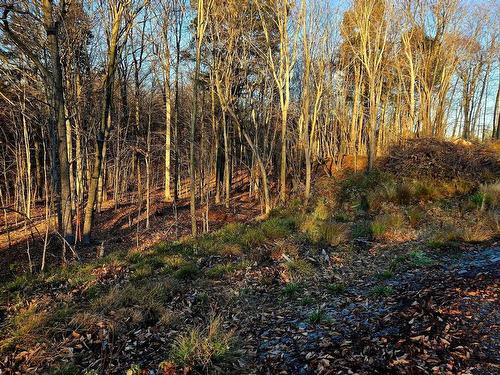 Land/Lot - Rue De L'Épervier, Gore, QC 