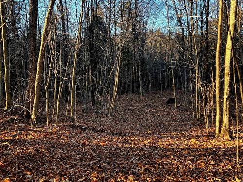 Land/Lot - Rue De L'Épervier, Gore, QC 