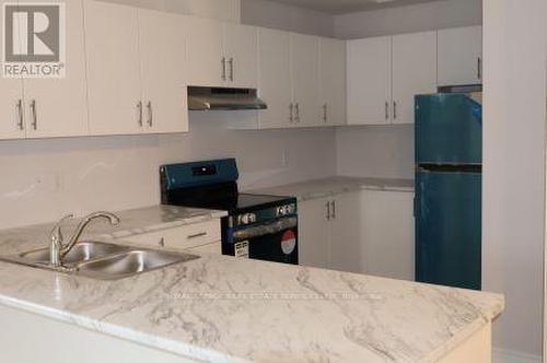 101 - 677 Park Road N, Brantford, ON - Indoor Photo Showing Kitchen With Double Sink