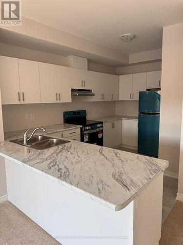 101 - 677 Park Road N, Brantford, ON - Indoor Photo Showing Kitchen With Double Sink