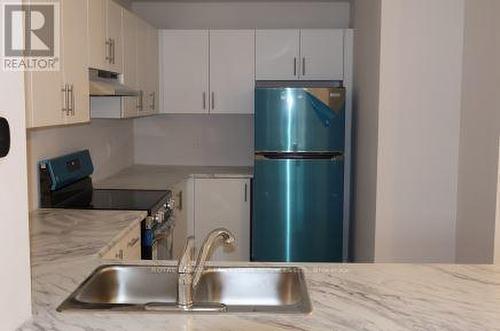 101 - 677 Park Road N, Brantford, ON - Indoor Photo Showing Kitchen With Double Sink