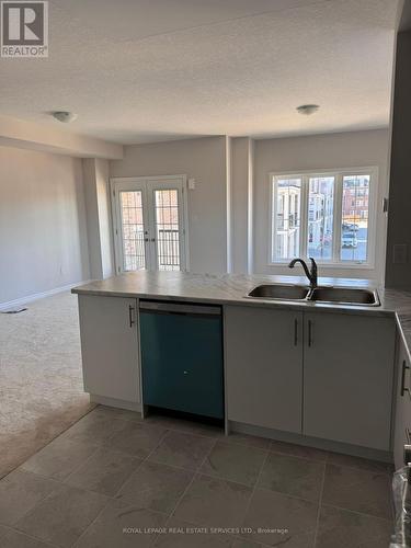 101 - 677 Park Road N, Brantford, ON - Indoor Photo Showing Kitchen With Double Sink