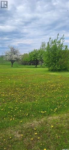 608 Boscurvis Avenue, Oxbow, SK - Outdoor With View