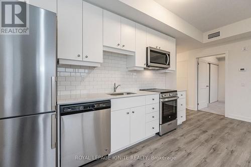 201 - 243 Northfield Drive E, Waterloo, ON - Indoor Photo Showing Kitchen With Upgraded Kitchen