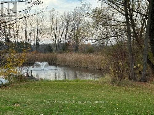 4159 Britannia Road, Burlington, ON - Outdoor With View