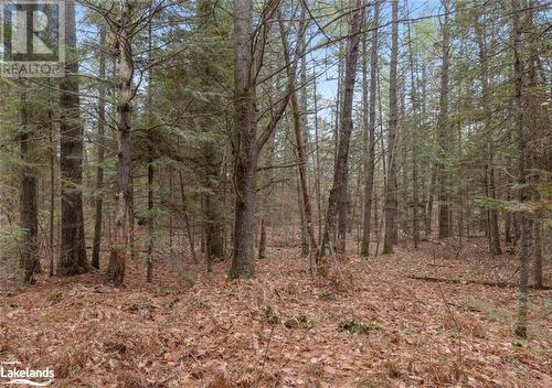 View of landscape - Beside 314 Clear Bay Road W, Kinmount, ON 