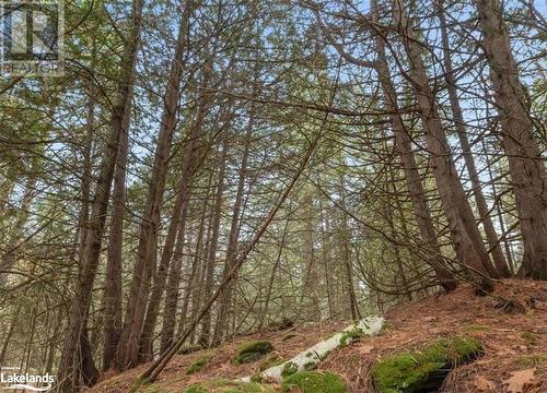 View of landscape - Beside 314 Clear Bay Road W, Kinmount, ON 