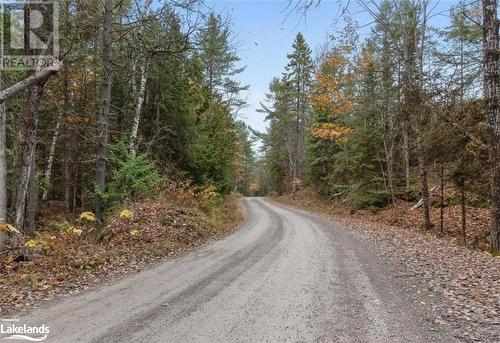 View of street - Beside 314 Clear Bay Road W, Kinmount, ON 