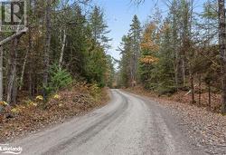 View of street - 