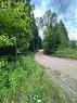 12548 N County Rd 503, Highlands East, ON 