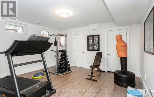 16B Benson Avenue, Mississauga, ON - Indoor Photo Showing Gym Room