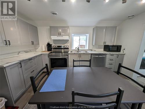 47 Broadway Street, Ridgetown, ON - Indoor Photo Showing Kitchen With Double Sink