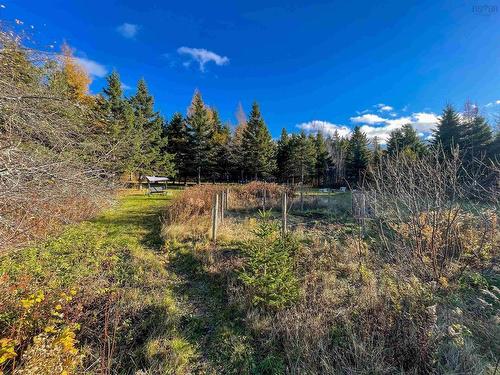 2521 Kings Road, Sydney Forks, NS 