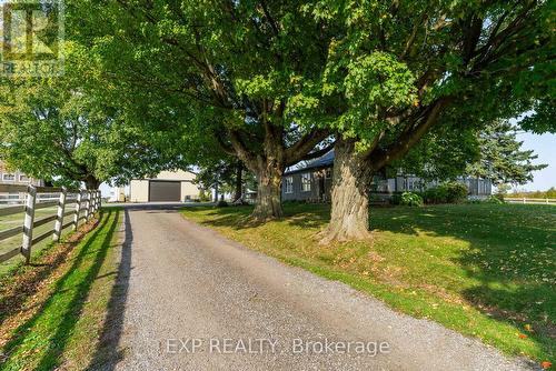 772 Townline Road W, Scugog, ON 