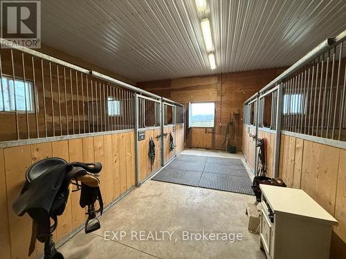 772 Townline Road W, Scugog, ON 