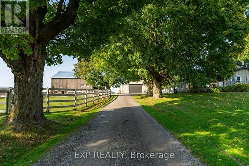 772 Townline Road, Scugog, ON 