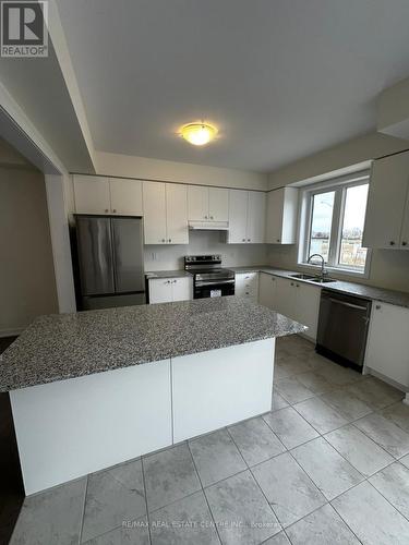 69 Moss Drive, Cambridge, ON - Indoor Photo Showing Kitchen With Upgraded Kitchen