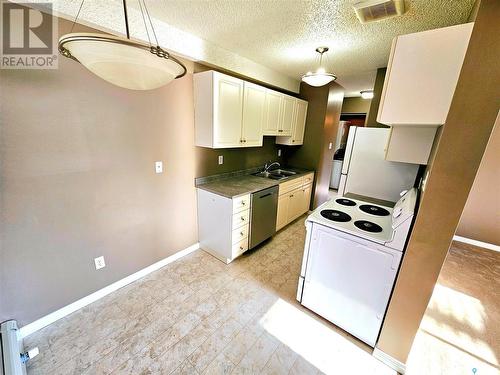 106 720 8Th Street E, Saskatoon, SK - Indoor Photo Showing Kitchen With Double Sink