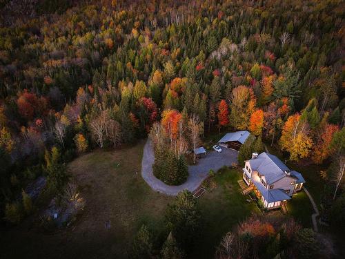 Vue d'ensemble - 455 Mtée Fortier, Mont-Tremblant, QC - Outdoor With View