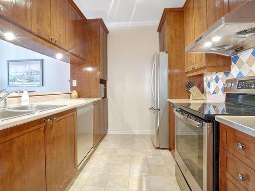 Kitchen - 302-162 Rue Gary-Carter, Montréal (Villeray/Saint-Michel/Parc-Extension), QC - Indoor Photo Showing Kitchen With Double Sink