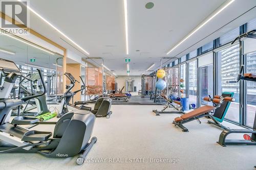 1720 - 19 Western Battery Road, Toronto, ON - Indoor Photo Showing Gym Room