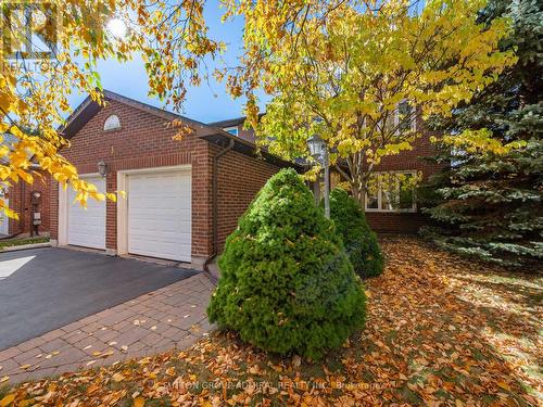 51 Houseman Crescent, Richmond Hill, ON - Outdoor