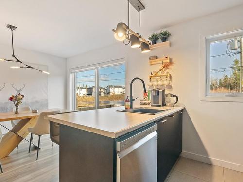 Kitchen - 23 Rue Robert-Laplante, Sainte-Catherine-De-La-Jacques-Cartier, QC - Indoor