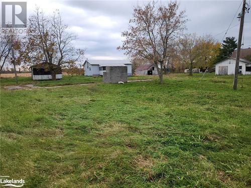 View of yard to South West - 388 N Big Island Road, Prince Edward County, ON 