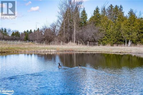 1617 County Rd 42, Clearview, ON 