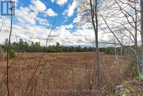 4419 Old Kingston Road, Rideau Lakes (819 - Rideau Lakes (South Burgess) Twp), ON - Outdoor With View