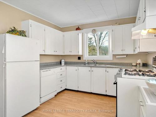 124 Centre St, Trent Hills, ON - Indoor Photo Showing Kitchen With Double Sink