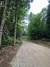 12548 N County Rd 503, Highlands East, ON 