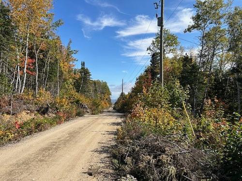 Street - Ch. St-Flavien, Baie-Saint-Paul, QC 