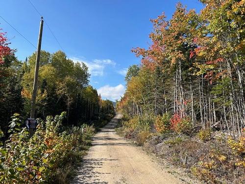 Street - Ch. St-Flavien, Baie-Saint-Paul, QC 