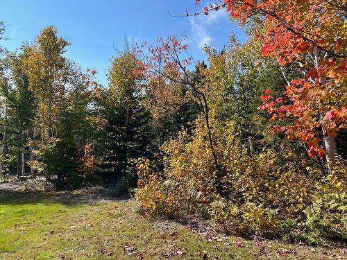 Land/Lot - Ch. St-Flavien, Baie-Saint-Paul, QC 