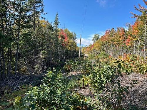 Land/Lot - Ch. St-Flavien, Baie-Saint-Paul, QC 