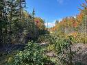 Land/Lot - Ch. St-Flavien, Baie-Saint-Paul, QC 