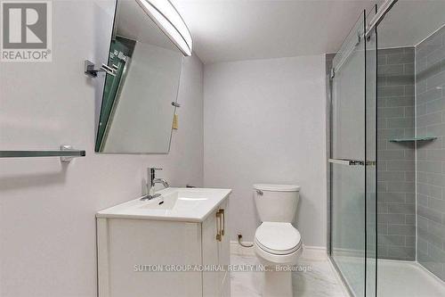 Basemen - 211 Axminster Drive, Richmond Hill, ON - Indoor Photo Showing Bathroom